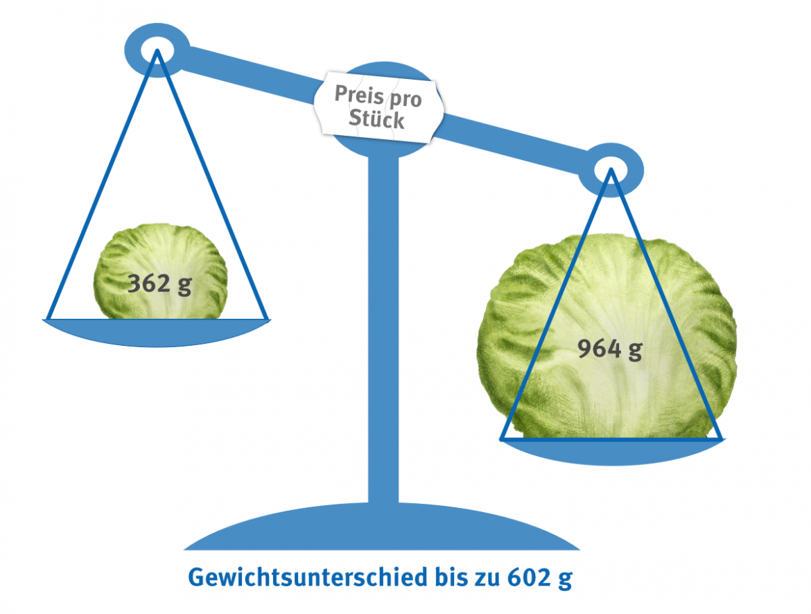 Lebensmittelverschwendung: Gewichtsspanne für Eisbergsalat zum Einheitspreis (2023)