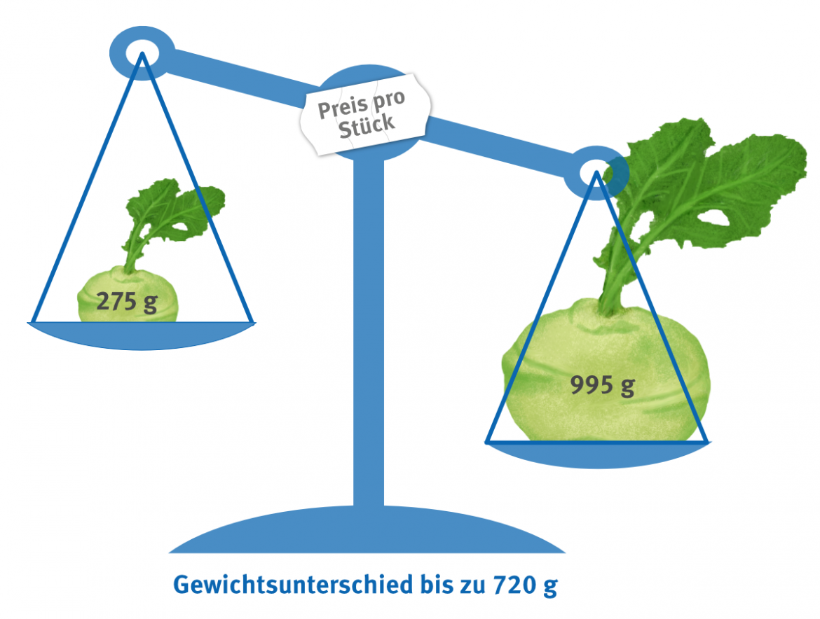 Lebensmittelverschwendung: Gewichtsspanne für Kohlrabi zum Einheitspreis (2023)