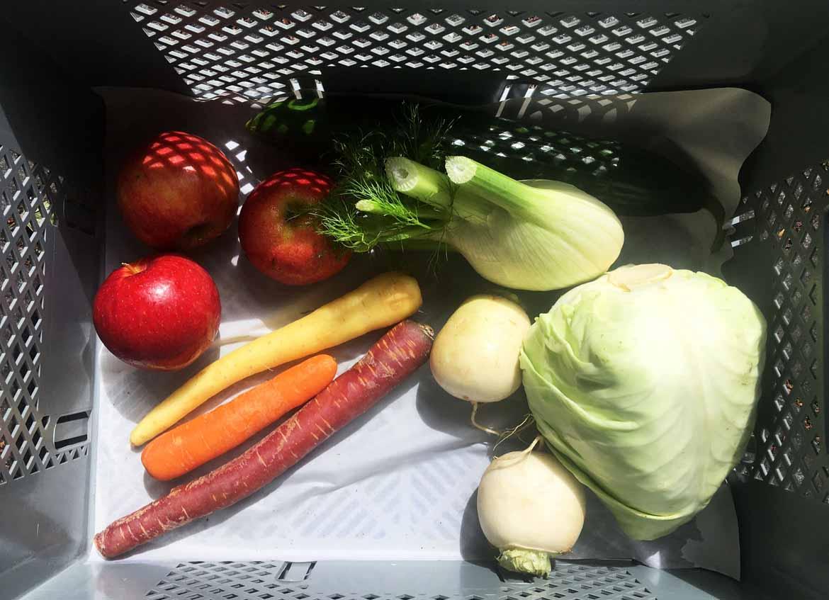 Regionale Gemüse-Kiste in Mehrwegbehälter