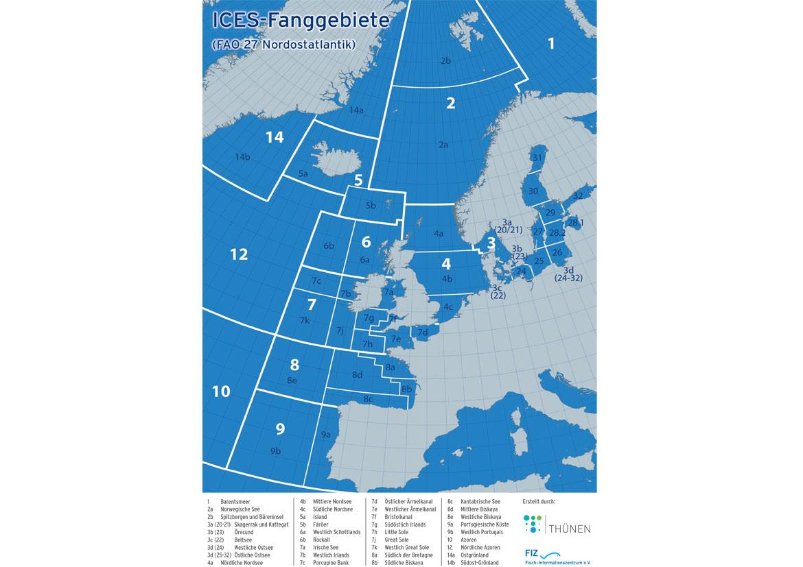 Fisch: ICES-Teilfanggebiete in Europa